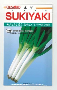 送料無料　[ねぎ]　SUKIYAKI　20ml　カネコ種苗（株）