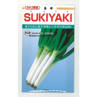 画像1: [ねぎ]　SUKIYAKI　20ｍｌ　カネコ種苗