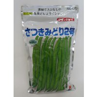 [いんげん]　さつきみどり2号　1L　タキイ種苗