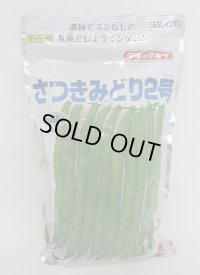 [いんげん]　さつきみどり2号　1L　タキイ種苗