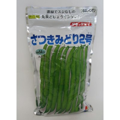 画像1: [いんげん]　さつきみどり2号　1L　タキイ種苗