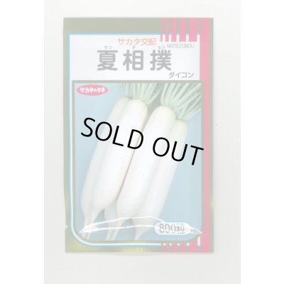 画像1: 送料無料[大根]　夏相撲　ペレット5000粒　(株)サカタのタネ