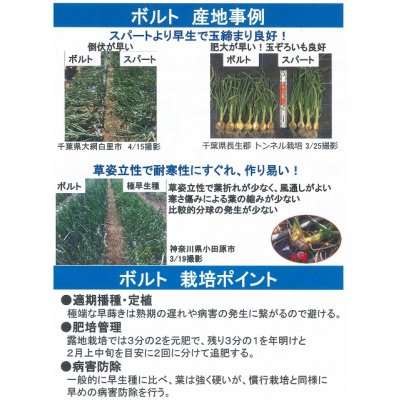 画像3: 送料無料　[たまねぎ]　ボルト　2dl　タキイ種苗(株)
