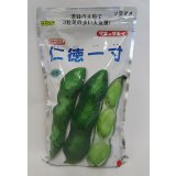 [そら豆]　仁徳一寸　1L(およそ240粒)　タキイ種苗
