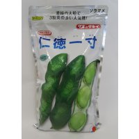 [そら豆]　仁徳一寸　1L(およそ240粒)　タキイ種苗