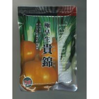 送料無料　[たまねぎ]　貴錦　2dl　カネコ種苗（株）