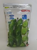 [そら豆]　三連　1L(およそ210粒)　タキイ種苗(株)