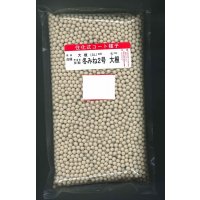 送料無料　大根　冬みね2号　5000粒　ペレット種子　(株)サカタのタネ