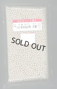 大根　冬みね2号　5000粒　ペレット種子　サカタのタネ（株）