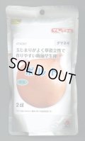 送料無料　[たまねぎ]　ボルト　2dl　タキイ種苗(株)