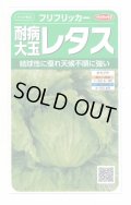 送料無料　[レタス]　耐病大玉レタス(フリフリッカー)およそ140粒　(株)サカタのタネ　実咲350（003027）