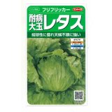 送料無料　[レタス]　耐病大玉レタス(フリフリッカー)およそ140粒　(株)サカタのタネ　実咲350（003027）
