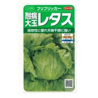送料無料　[レタス]　耐病大玉レタス(フリフリッカー)およそ140粒　(株)サカタのタネ　実咲350（003027）