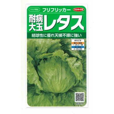画像1: 送料無料　[レタス]　耐病大玉レタス(フリフリッカー)およそ140粒　(株)サカタのタネ　実咲350（003027）