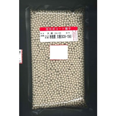 画像1: 送料無料[大根]　秋相撲　ペレット5000粒　(株)サカタのタネ