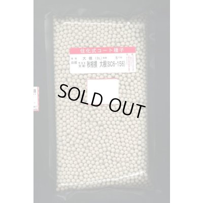 画像1: 送料無料[大根]　秋相撲　ペレット5000粒　(株)サカタのタネ