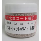 送料無料　カリフラワー　]　オーナメントホワイト　ペレット5000粒　(株)サカタのタネ