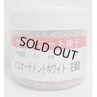 　カリフラワー　]　送料無料！オーナメントホワイト　ペレット5000粒　サカタ交配