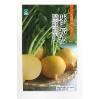 [かぶ]　味こがね　　2.5ml（およそ980粒）　丸種（株）