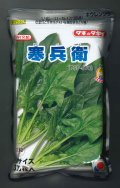 [ほうれんそう]　寒兵衛　3万粒(種子サイズ：M)　タキイ種苗(株)