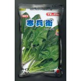 [ほうれんそう]　寒兵衛　3万粒(種子サイズ：M)　タキイ種苗(株)
