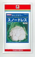 送料無料　[カリフラワー]　スノードレス　20ml　タキイ種苗(株)