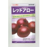送料無料　[たまねぎ]　レッドアロー　20ml　カネコ種苗（株）