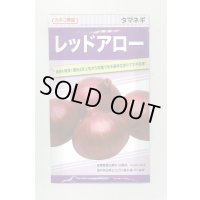 送料無料　[たまねぎ]　レッドアロー　20ml　カネコ育成