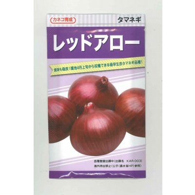 画像1: 送料無料　[たまねぎ]　レッドアロー　20ml　カネコ種苗（株）