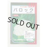 送料無料　[カリフラワー]　バロック　20ml　(株)サカタのタネ