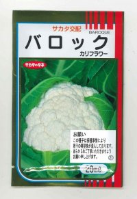 [カリフラワー]　バロック　20ml　サカタ交配　