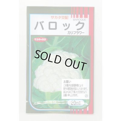 画像1: 送料無料　[カリフラワー]　バロック　20ml　(株)サカタのタネ
