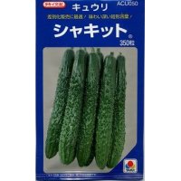 [キュウリ]　シャキット　350粒　タキイ種苗（株）