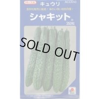[キュウリ] シャキット 350粒 タキイ種苗(株)