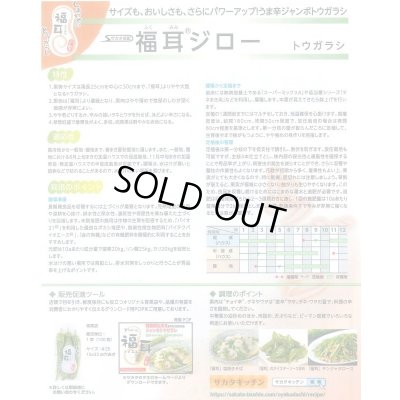 画像4: 送料無料　[トウガラシ]　福耳ジロー　約25粒　(株)サカタのタネ　実咲450（003730）