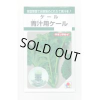 [葉物]　ケール　青汁用ケール　5ml 　タキイ種苗　GF　