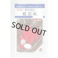 送料無料　[大根]　紅三太　7ml　タキイ種苗(株)　DF