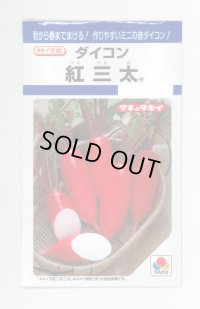 送料無料　[大根]　紅三太　7ml　タキイ種苗(株)　DF