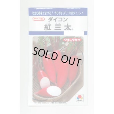 画像1: 送料無料　[大根]　紅三太　7ml　タキイ種苗(株)　DF