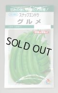 送料無料　[えんどう]　スナップエンドウ　グルメ　18ml(およそ30粒)　タキイ種苗(株)　GF