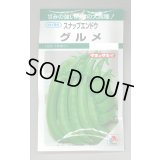 送料無料　[えんどう]　スナップエンドウ　グルメ　18ml(およそ30粒)　タキイ種苗(株)　GF