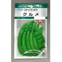 [えんどう]　スナップエンドウ　グルメ　18ml（およそ30粒）　タキイ種苗（株）　GF　