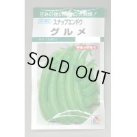 [えんどう]　スナップエンドウ　グルメ　18ml　タキイ育成　GF　