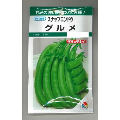 画像1: 送料無料　[えんどう]　スナップエンドウ　グルメ　18ml(およそ30粒)　タキイ種苗(株)　GF