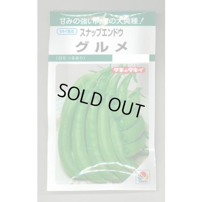 画像1: 送料無料　[えんどう]　スナップエンドウ　グルメ　18ml(およそ30粒)　タキイ種苗(株)　GF