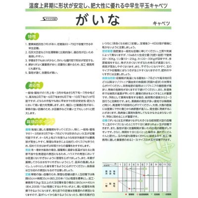 画像4: 送料無料 [キャベツ] がいな ペレット種子5千粒 （株）サカタのタネ