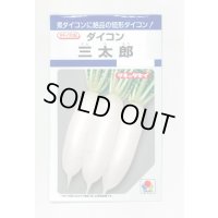 送料無料　[大根]　三太郎　7ml　タキイ種苗(株)　DF