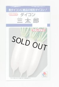 送料無料　[大根]　三太郎　7ml　タキイ種苗(株)　DF