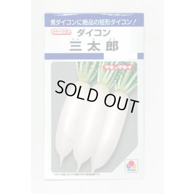 画像1: 送料無料　[大根]　三太郎　7ml　タキイ種苗(株)　DF