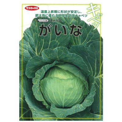 画像2: 送料無料 [キャベツ] がいな ペレット種子5千粒 （株）サカタのタネ